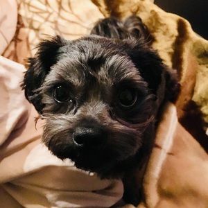 Meet your Posher, Maryann